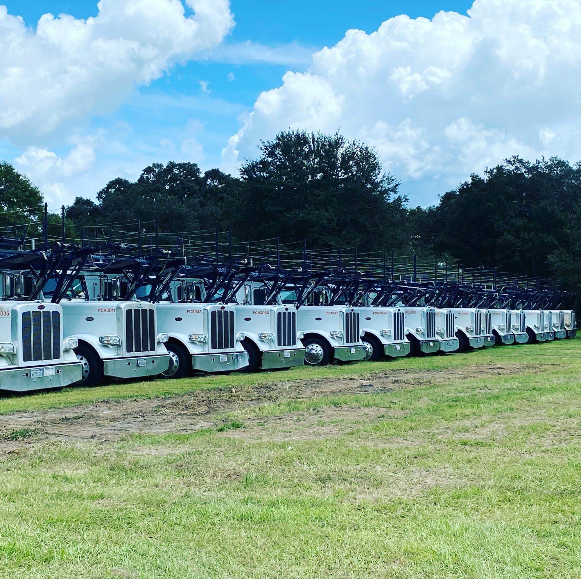 A long row of white car-hauler trucks parked on grass